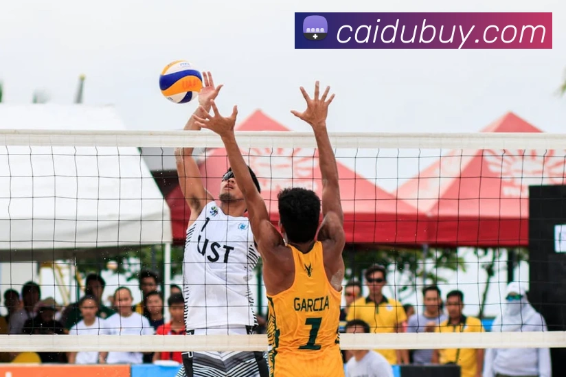 彩客吧平台生态图